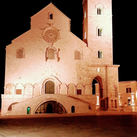 taxi-noleggio-conducente-autista-privato-driver-navetta-shuttle-puglia-castel-del-monte-aeroporto-bari-porto-stazione-tour-trani