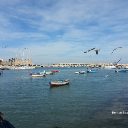 ncc-taxi-transfer-aeroporto-bari-gallipoli-otranto-lecce-noleggio-conducente-trasferimenti-costi-driver