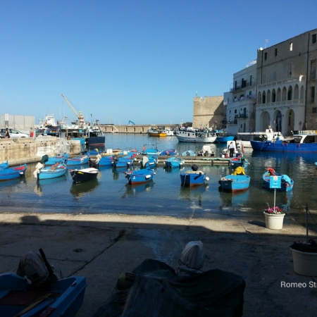 ncc-autista-privato-noleggio-conducente-taxi-transfer-tour-aibnb-polignano-monopoli-alberobello-aeroporti-puglia-bari