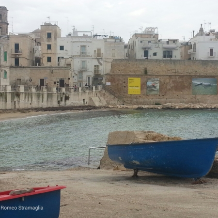 Transfer-Navetta-Monopoli
