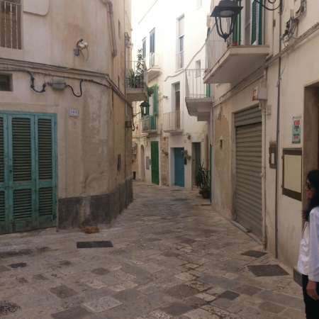 Trasferimenti navetta Monopoli