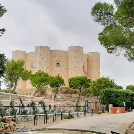 taxi-noleggio-conducente-autista-privato-driver-navetta-shuttle-puglia-castel-del-monte-aeroporto-bari-porto-stazione-tour